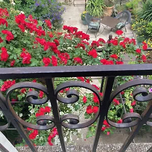4* Bed & Breakfast La Maison Des Augustins 4 Stars Et Fitness